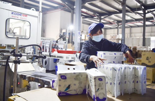 经济 重庆永川推动百亿级纸产业集群发展